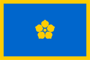 Bandeira do Manso.png