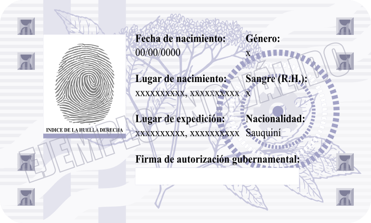 Arquivo:Sauquinia6.png
