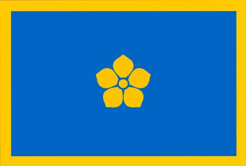 Arquivo:Bandeira do manso.jpg