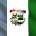 Miniatura da versão das 17h01min de 31 de março de 2020