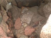 Cova de Quirate (2).jpg