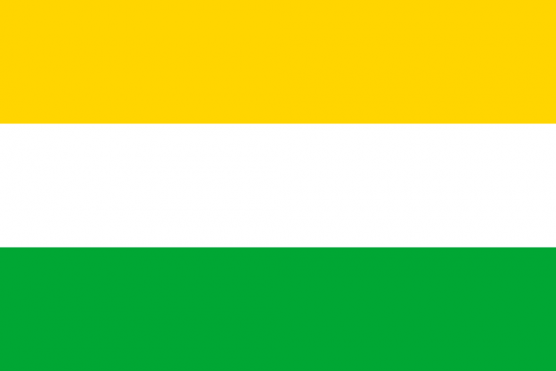 Arquivo:Bandeira bras.png