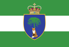Bandeira de Araucária