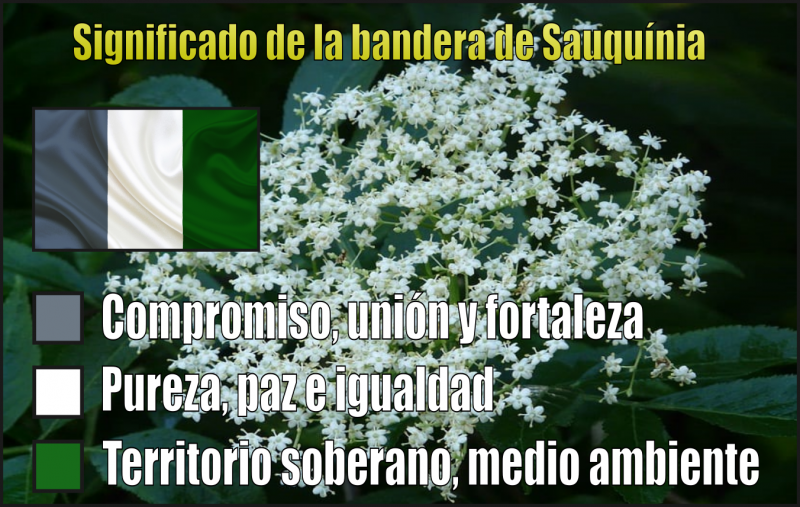 Arquivo:Sauquinia4.png