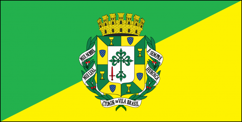Arquivo:Bandeira Oficial.png
