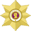 Grã cruz da Ordem de Mérito Médico Zilda Arns 2.0.png